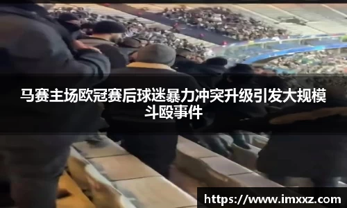 马赛主场欧冠赛后球迷暴力冲突升级引发大规模斗殴事件
